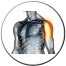Corso fisioterapisti approccio neuro-muscolo-articolare spalla